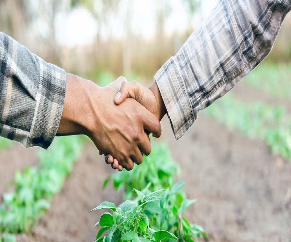 Agro-logistics DTI and Dutch Chamber step up efforts to draw FDIs - Supply Chain Tribe by Celerity