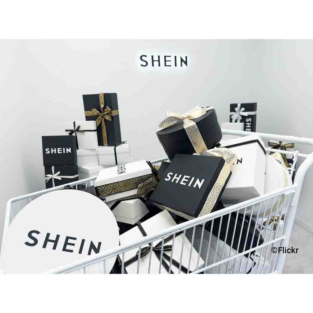 Shein Makes a Remarkable Comeback in India - Supply Chain Tribe by Celerity