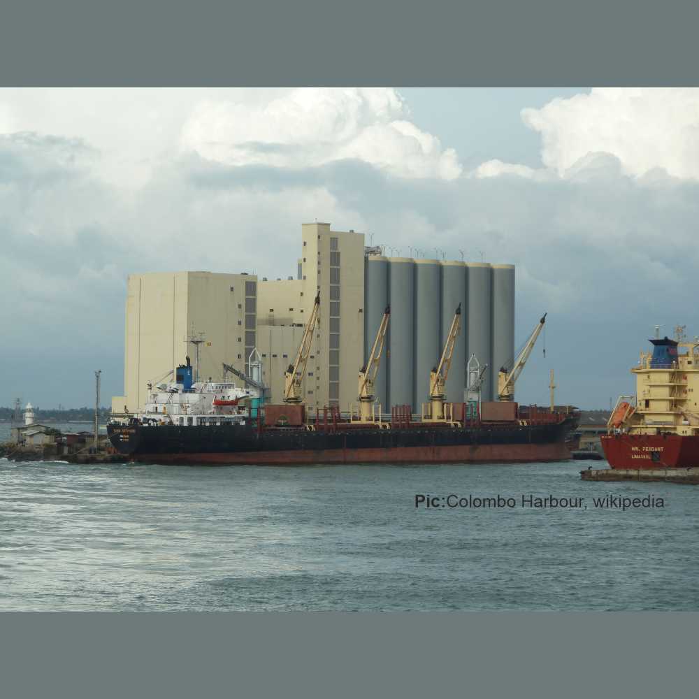 Sri Lanka Crisis Colombo Port Disruptions - Supply Chain Tribe by Celerity